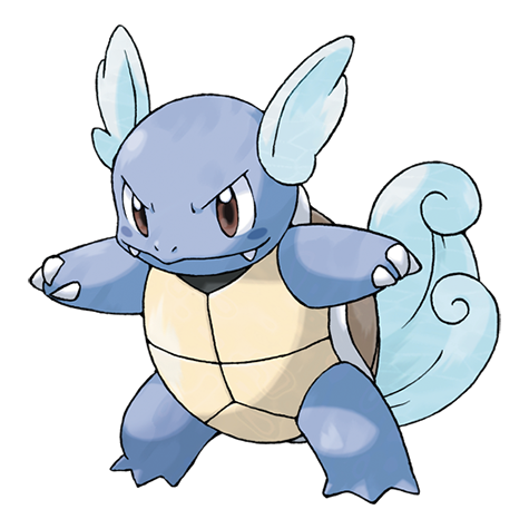 official artwork for wartortle